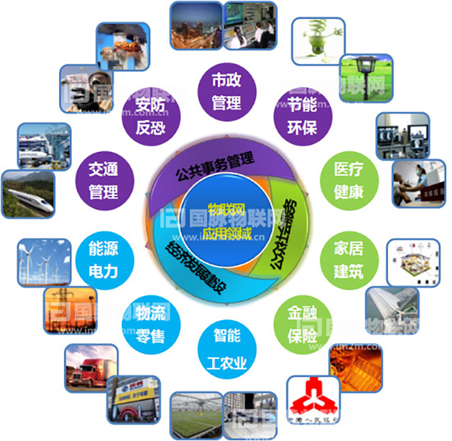 杨冰之：重视物联网在关键产业的应用