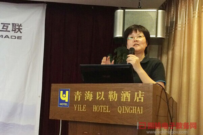 赢博互联总经理、首席规划师郑爱军正在进行《政府网站+评估体系构建思路》的主题演讲