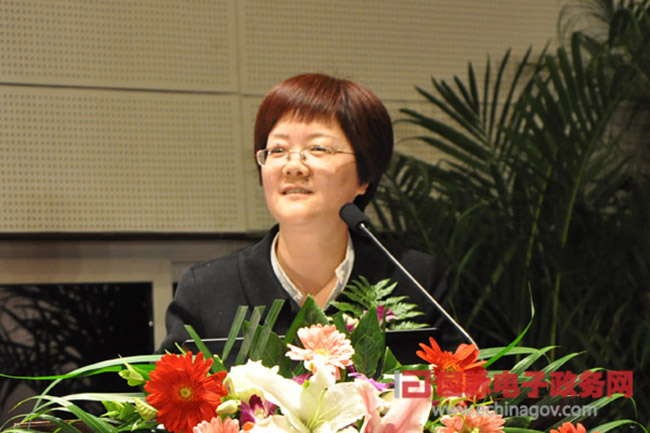 郑爱军：“政府网站+”时代 ，政府网站如何定位？