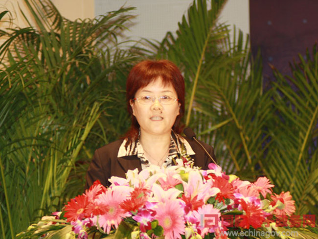 北京赢博互联信息顾问有限公司总经理、首席规划师郑爱军女士正在做《从电子政务到智慧政府：赢博的思考与实践》为题的主题发言