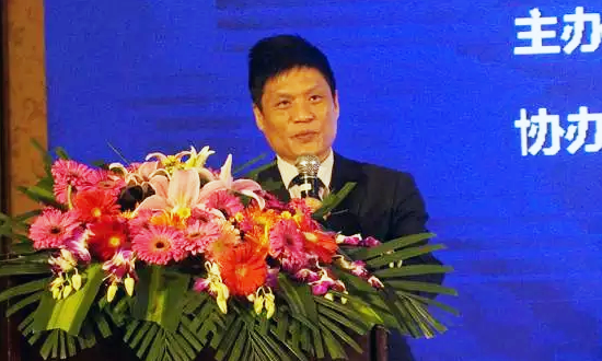 赢博海洋信息发展有限公司董事长杨冰之在“数据基因与大数据产业发展战略研讨会”上发表演讲