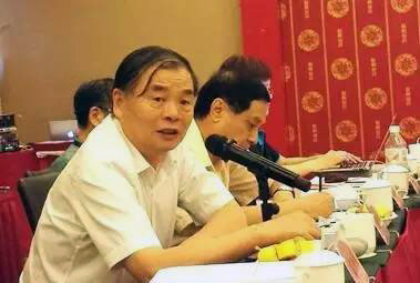 在中国智慧城市发展与评估指标体系建设专家研讨会上，北京大学教授、工信部原副部长杨学山以《新型智慧城市建设与发展思考》为题发言